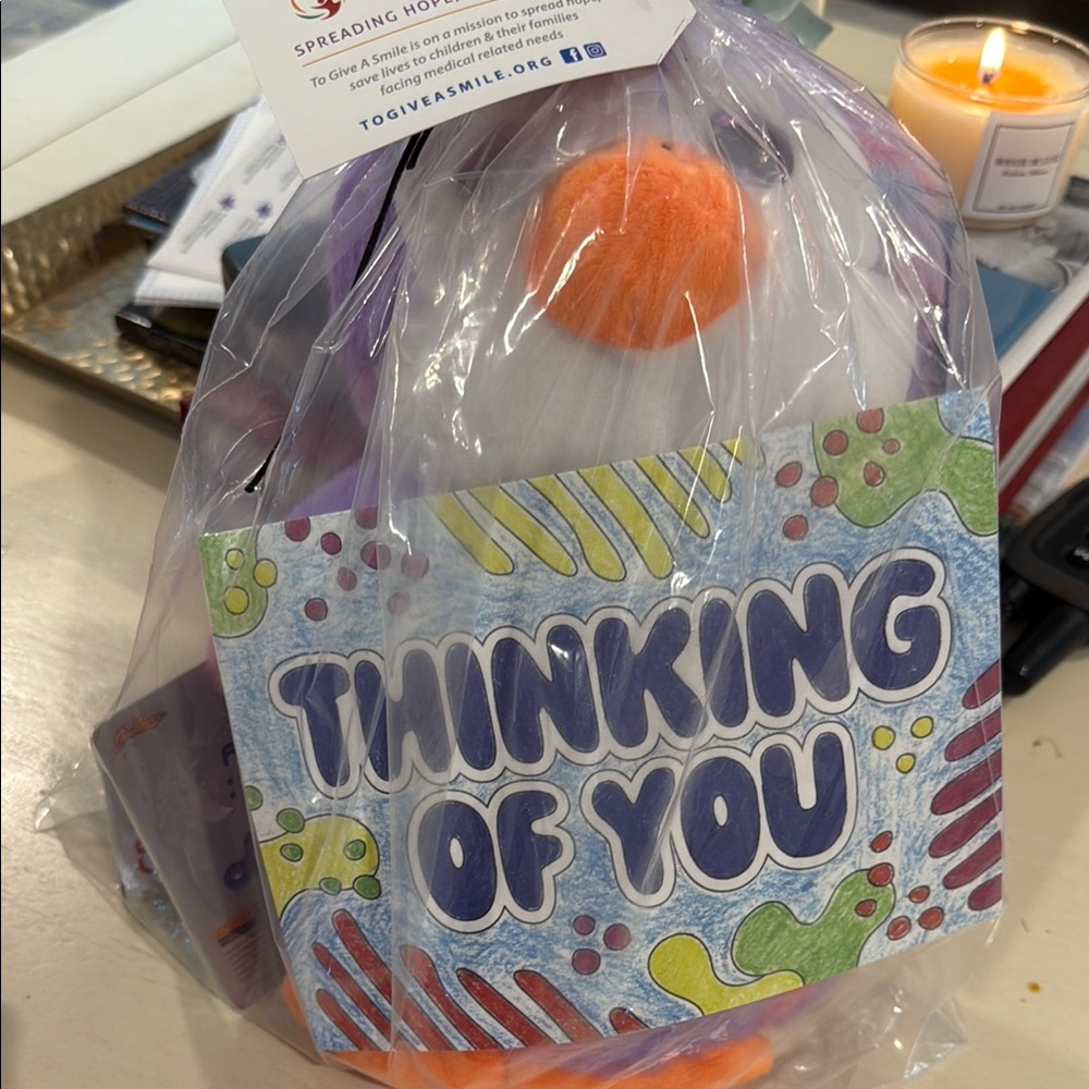 Plush Penguin Gift with Card